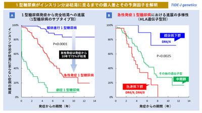 1型糖尿病のインスリン枯渇速度の比較（A：1型糖尿病のサブタイプ別、B：急性発症のHLA遺伝子型別）