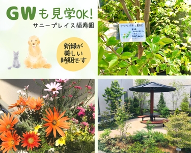 EmIxfEpS4bcN4DVv87T4.jpg?w=940&h=940