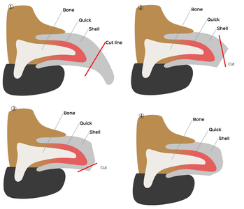 EmgyWH1mniKbyvS9uEqA.png?w=940&h=940