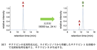 EmjjZG5FYrRnExw18kZQ.jpg?w=940&h=940