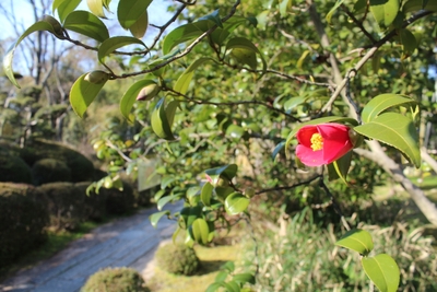 EnuHJpjeGqCVhMWJfCXq.jpg?w=940&h=940