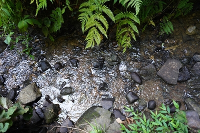 EnumNVTMEIoLRAWk5vFZ.JPG?w=940&h=940