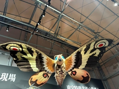 EpntTC9Ghxb5SIjbPJhc.jpg?w=940&h=940