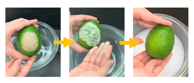 EqCWrtIMXdWOobfZ7K8o.png?w=940&h=940