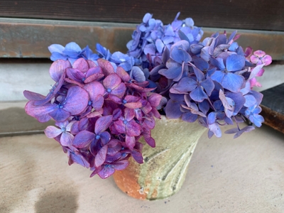 EqJpYTHS7kk1gPWp4wQl.jpg?w=940&h=940