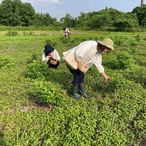 Er8zY6ncFyxqUIgJq94n.jpg?w=940&h=940