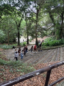 久能山東照宮の石段を上る参加者たち