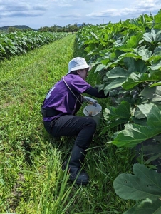 Es1tx1L2TRYGXfR7cLyk.jpg?w=940&h=940