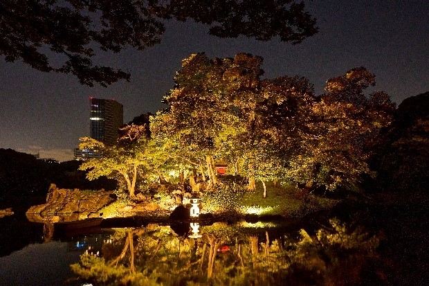 蓬莱島のライトアップ(イメージ)