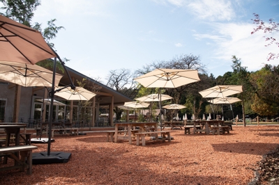 EtEaGS9uyJeVay63VkTB.jpeg?w=940&h=940