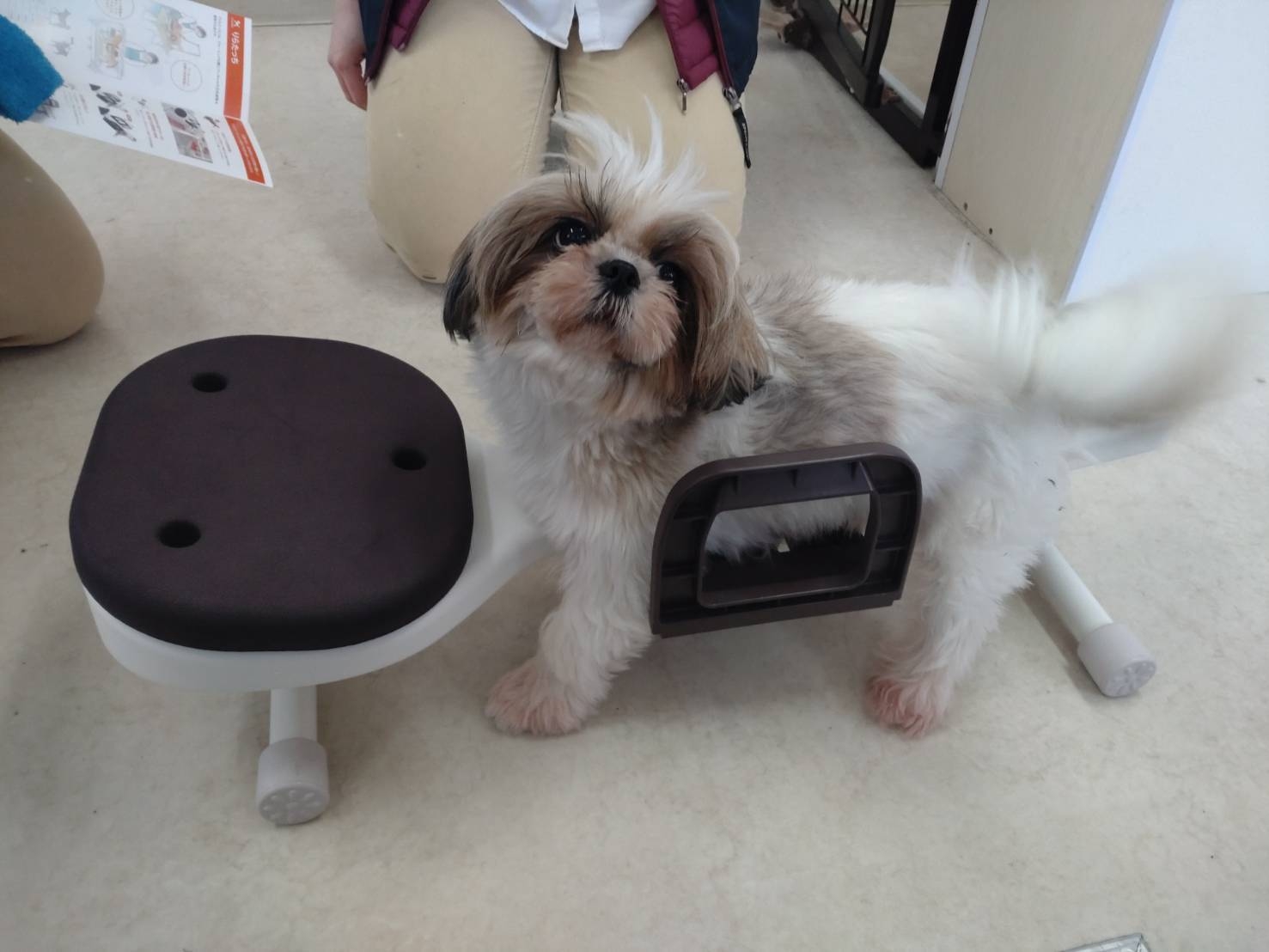 リラたっち使用画像(1)