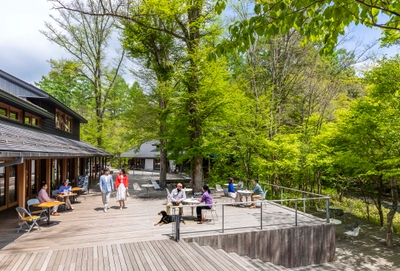 「ハルニレテラス」