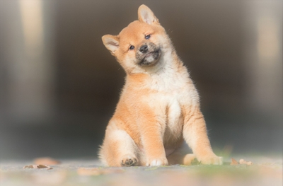 EwAQF3YkFQ6DHJ4qMcOk.jpeg?w=940&h=940