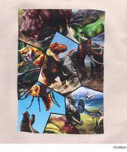 EwQj9sOfDvHfHmkWKAKt.jpg?w=940&h=940