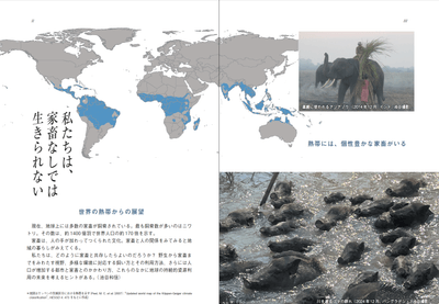 EwwnxN7u8S9fY7Hrreje.png?w=940&h=940