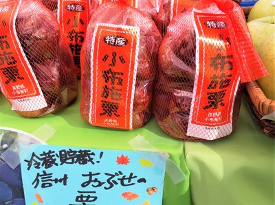 Ex6VtSAuGN33cW4m2bUl.jpg?w=940&h=940