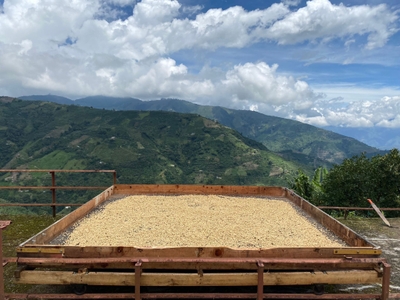 ExqvE2h97IKQsGWAQ9cg.jpg?w=940&h=940