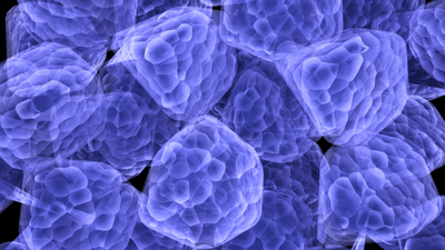 Ey9qpe8otO7OrczDxKtI.png?w=940&h=940