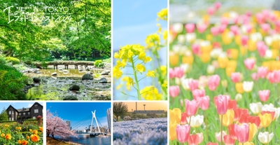 Ezf5PHh9WeN0YlOle5h1.jpg?w=940&h=940