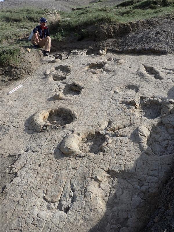 1億2千万年前、北東アジアで最古の恐竜足跡群を発見！ 当時の大型恐竜