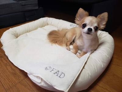 F2pekR842fotquVhTxcA.jpg?w=940&h=940