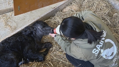 F3kRnTYM5GRg45eZLUbC.jpg?w=940&h=940