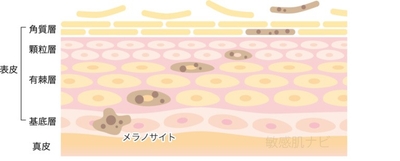 F3udAKv8fsSVZuU79bJl.jpg?w=940&h=940