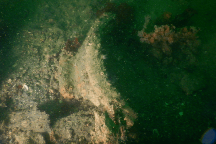 図9. 潜水調査によって確認されたやきもの (山本准教授 撮影)