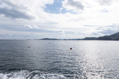 F5qfB8etTkh4hDCymupa.jpg?w=940&h=940