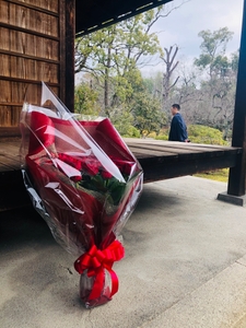 F5yt2yw3eC3a8k28n0DN.jpeg?w=940&h=940