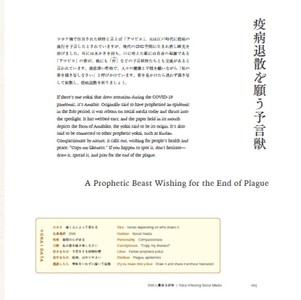 「現代に生まれ直したアマビエ」解説文（本文より）