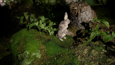 F6FaSXSOuAlFs3hYuOhS.png?w=940&h=940