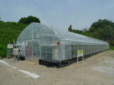 「農の入口」モデル事業　ICT 設置温室
