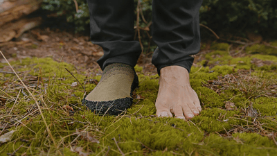 F6mPeA01luO9LLORE5oD.png?w=940&h=940