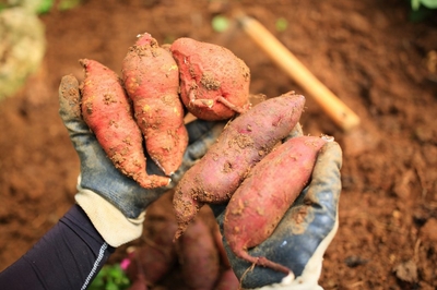 F6wx5ZpSlAy9P7cEYd6b.jpg?w=940&h=940