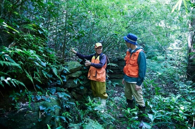 F7oOdw8WmJ6gQiVbU8kO.jpg?w=940&h=940