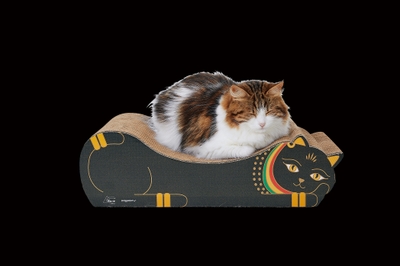 F8PP4vNJJl3qZJQm97XW.jpg?w=940&h=940