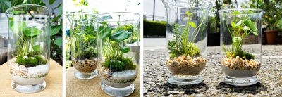 F9JT9ktnSKUkMr7Nuygx.jpg?w=940&h=940