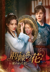 ©Beijing Yixin Yinghua Film and Television Media Co., Ltd.‌‌ All Rights Reserved.