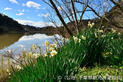 FBelmCm1AMsBx9oBnBIr.jpg?w=940&h=940