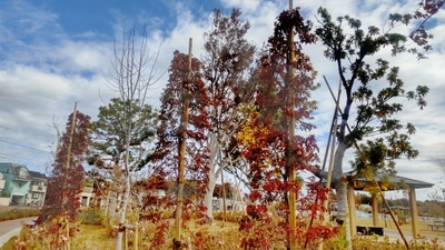 FBvPIWP2BqK22Q7biEaV.jpg?w=940&h=940