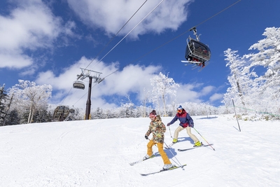 FDmCwkJaKP69xnqpAyno.jpg?w=940&h=940