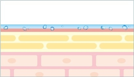 化粧水や美容液の浸透 肌の表面のみが潤っている状態