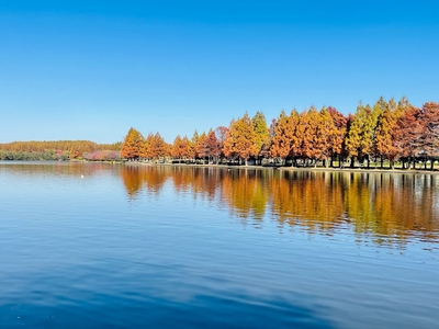 FHyZwFXY4us5Rum9Cbp0.jpeg?w=940&h=940