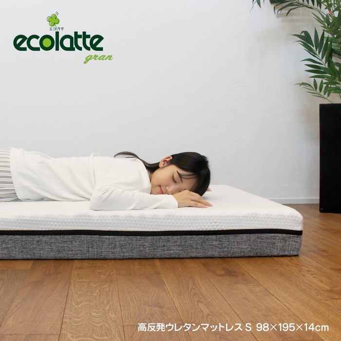 モデル:鈴木志歩(Shiho Suzuki)