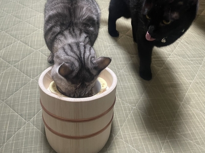 FIC1oAIk083BAKYxNNhr.JPG?w=940&h=940