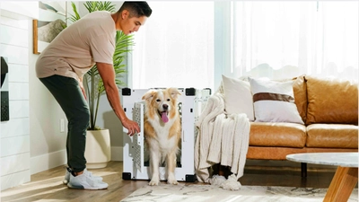 犬のトイレのしつけ代行ができる新しい専門職 「ドッグトイレッターズ」　 7月より有資格者が全国で活動開始へ