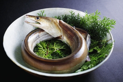 FLEwoGjKy9Zqqq0ZGbjl.jpg?w=940&h=940