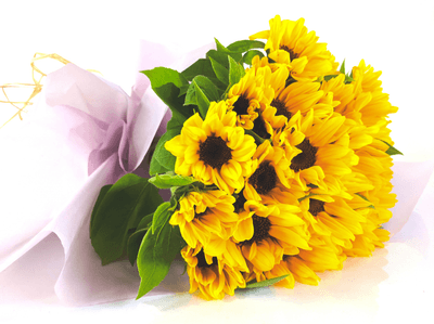 FLe47cenlik3rIYJI5zd.png?w=940&h=940