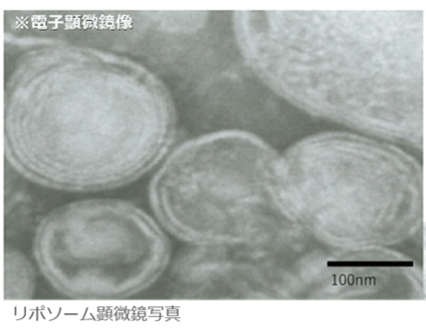 リポソーム